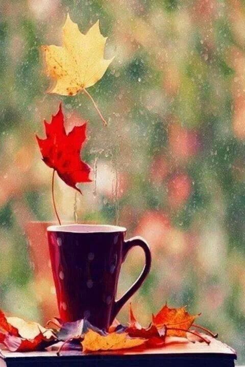 Cup of Coffee on a Autumn Day