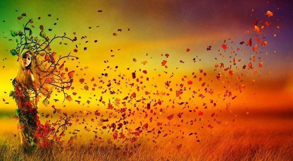 Autumn leaves