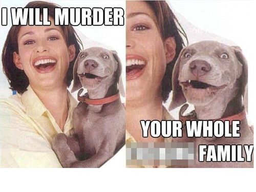 I will Murder