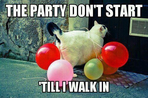 The Party