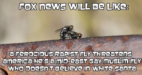 Meanwhile Fox news 