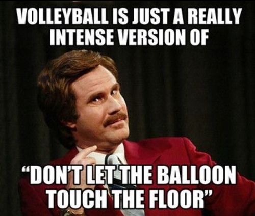 Vollyball is Vollyball is
