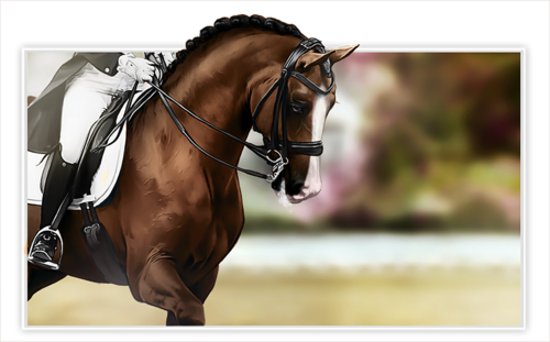Horse racing