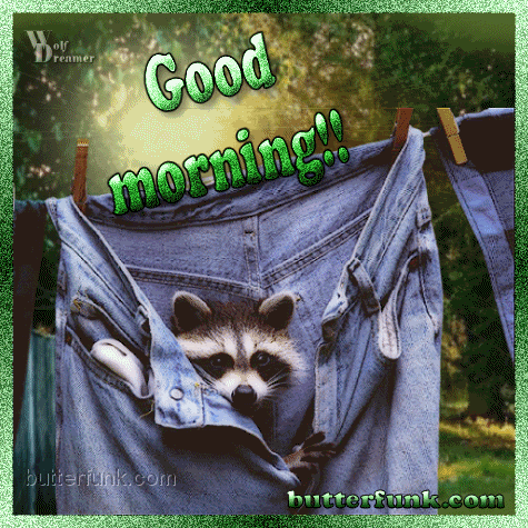 Good Morning
