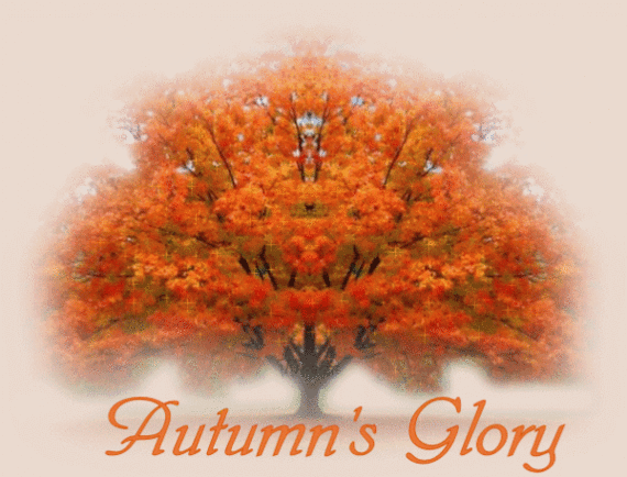 Autumn's Glory Autumn's Glory