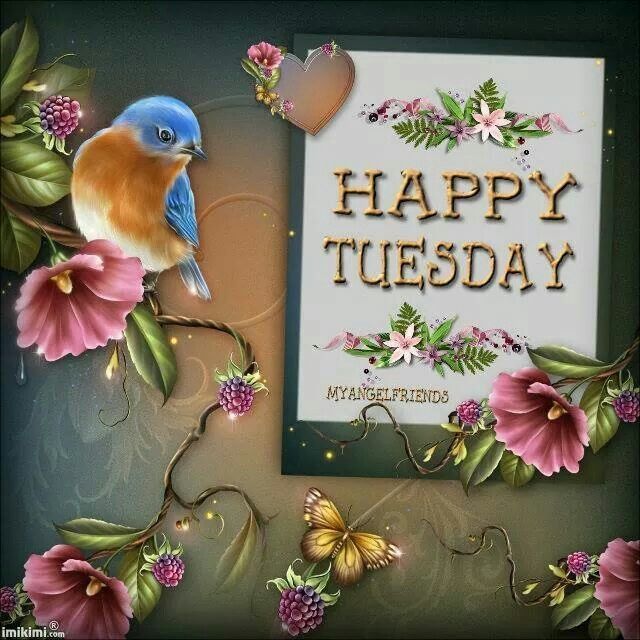 Happy Tuesday Happy Tuesday