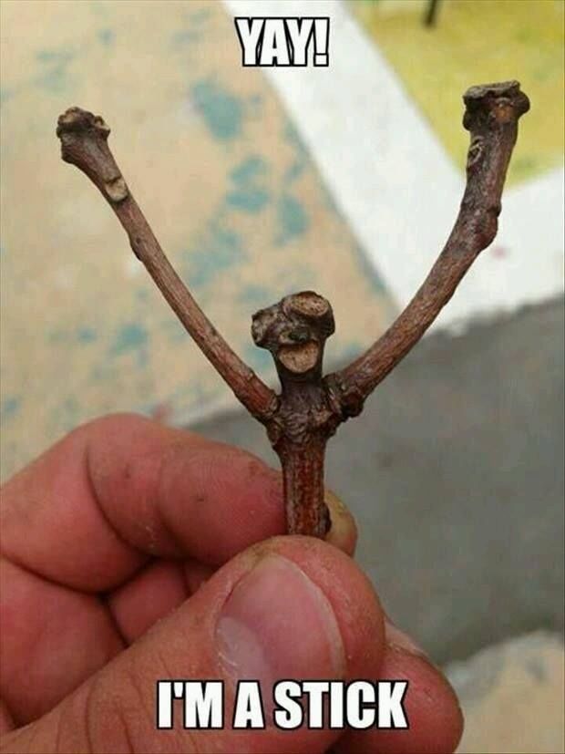 Yo Mike is that you Reincarnated 