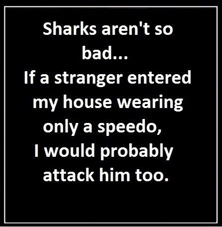 Sharks Sharks