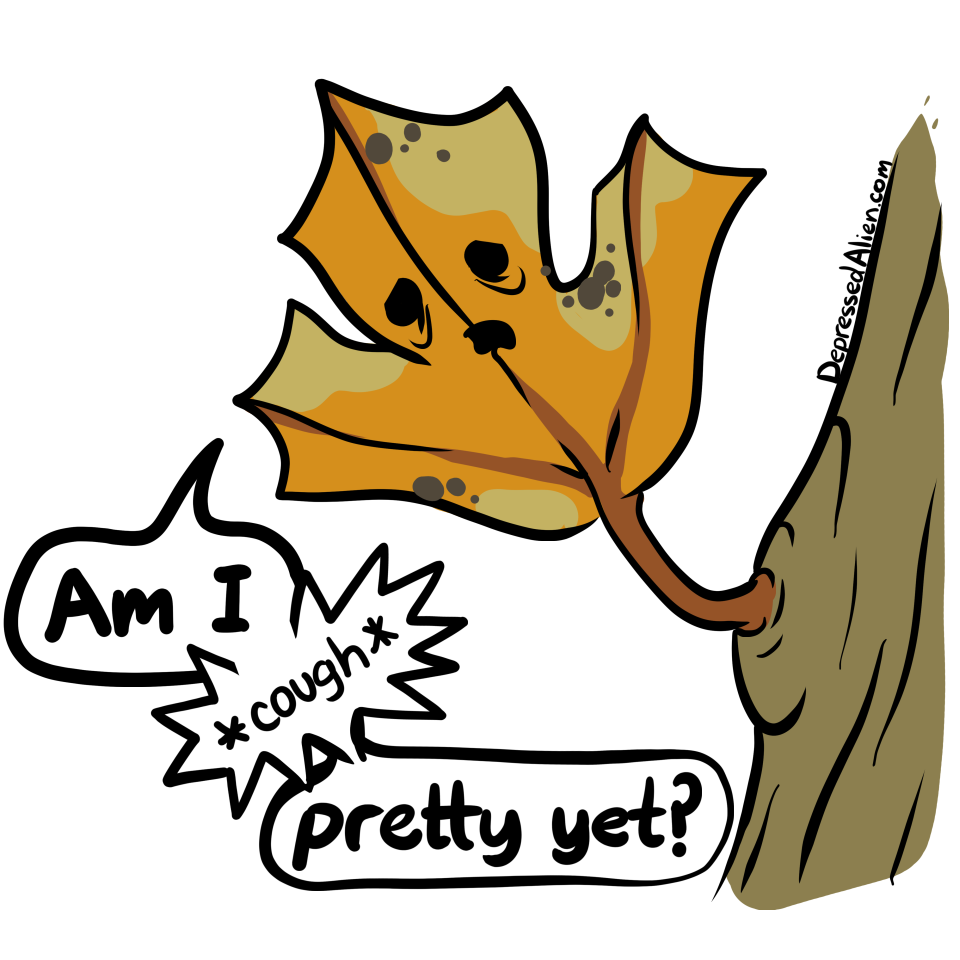 Am I Am I
