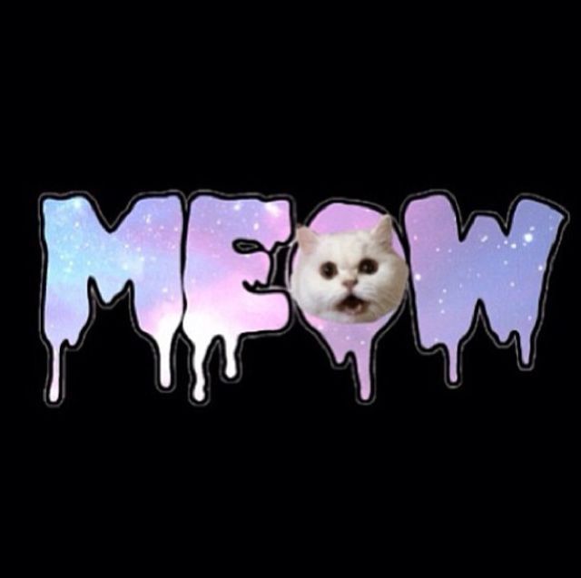 Meow Meow
