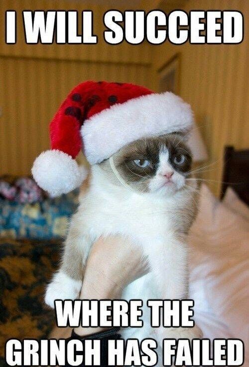 Grumpy Cat Returns Grumpy Cat Returns