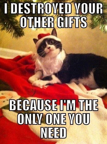 Destroyed your gifts Destroyed your gifts