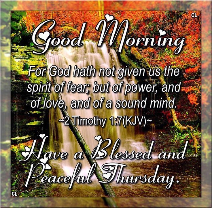 Good Morning Thursday