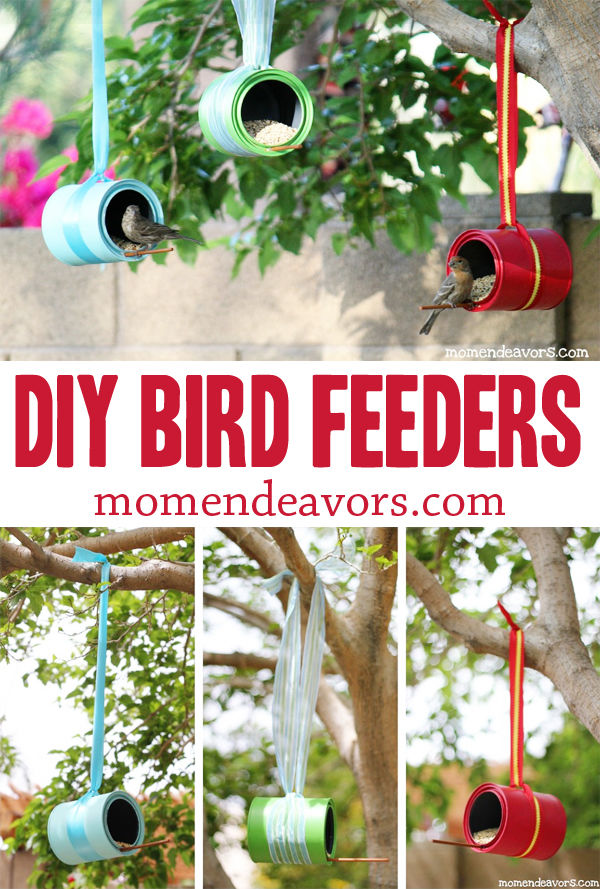 How to make a bird feeder for your garden How to make a bird feeder for your garden