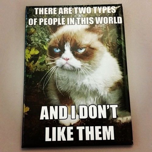 Grumpy Cat Two Guy Grumpy Cat Two Guy