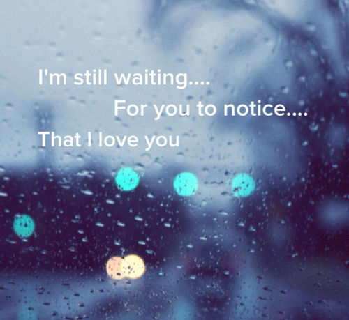 Notice that I love you Notice that I love you