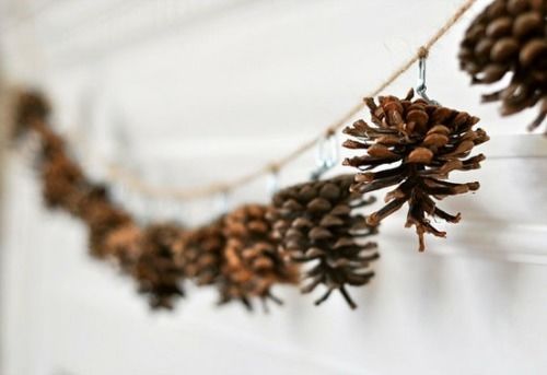 Pinecone Garland