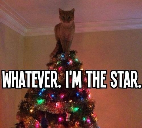 Whatever