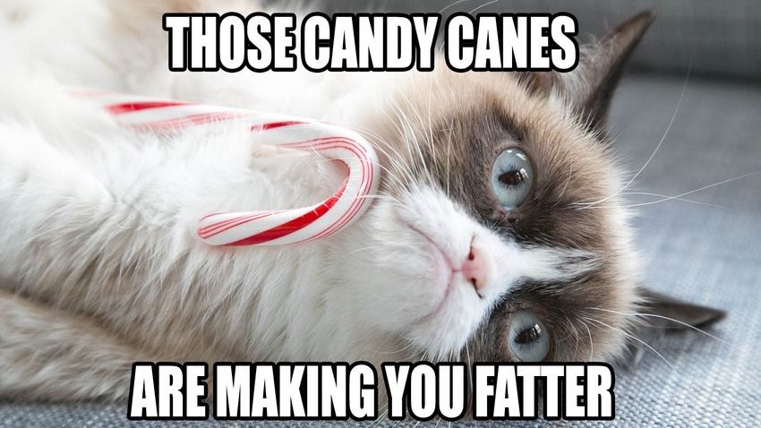 Those Candy canes Those Candy canes