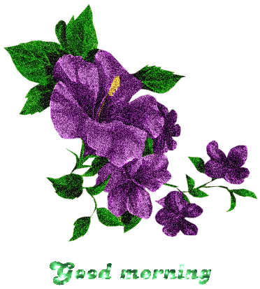 Good Morning Good Morning