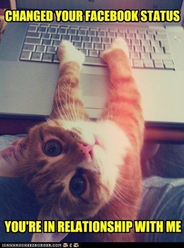 Changed your facebook status