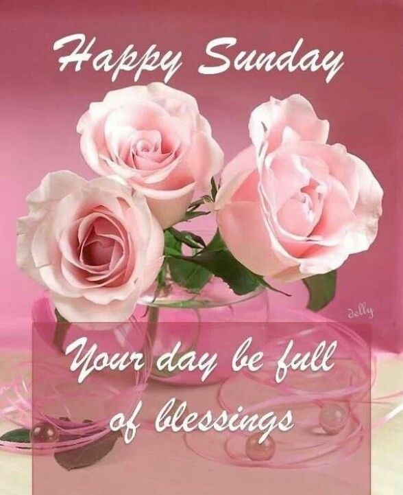 Happy Sunday