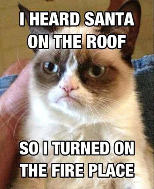 Grumpy Cat Just trying to help
