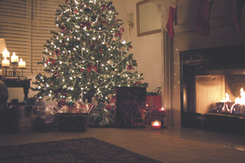 Christmas decorations with ornaments