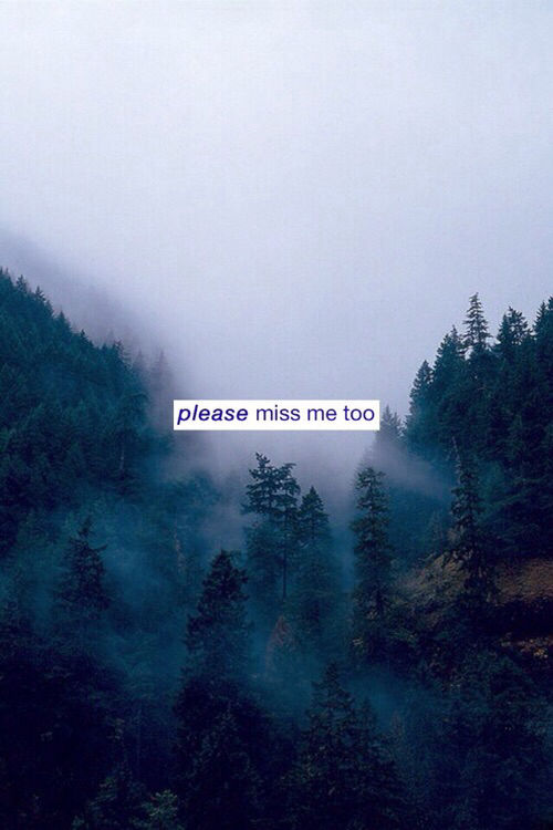 Please miss me too Please miss me too
