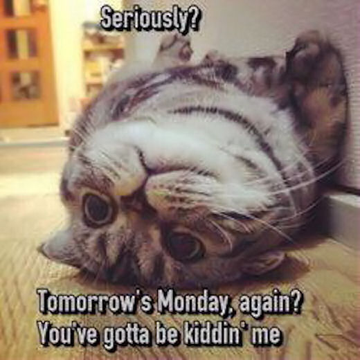 Tomorrows Monday Tomorrows Monday