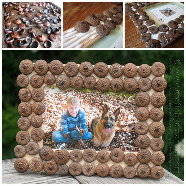Acorn Frame