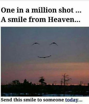 Happy Skies!!