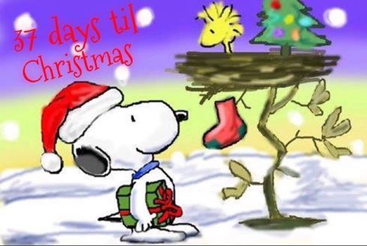 37 days till christmas