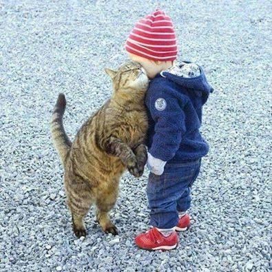 Cheek to Cheek Cheek to Cheek