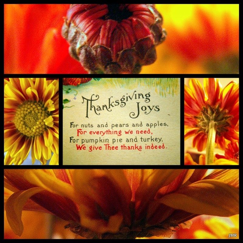 Thanksgiving Joys