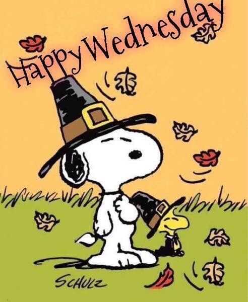 Happy Wednesday