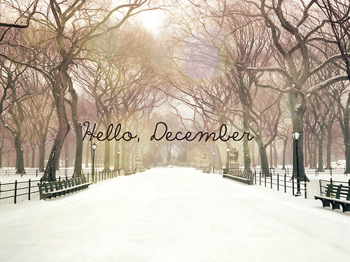 Hello December Hello December