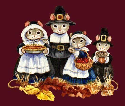 Happy Thanksgiving Happy Thanksgiving