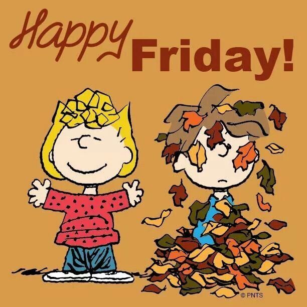 Happy Friday Happy Friday