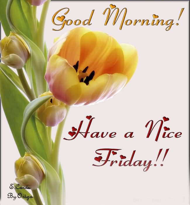 Good Morning Friday