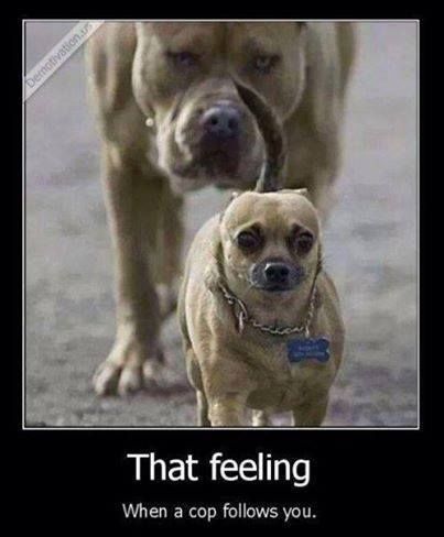 That feeling That feeling