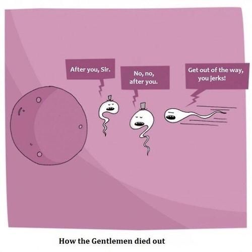 How Gentlemen died How Gentlemen died