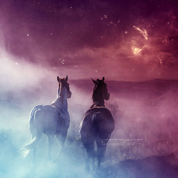 Dancing ponies