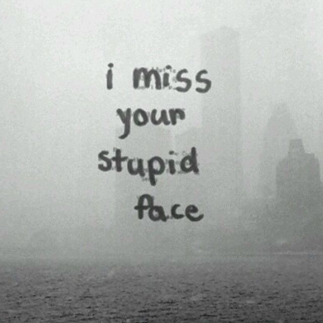 i miss your stupid face