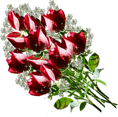 Sparkling Bouquet of Red Roses Sparkling Bouquet of Red Roses