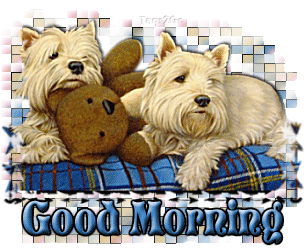 Good Morning Good Morning