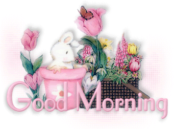 Good Morning Good Morning
