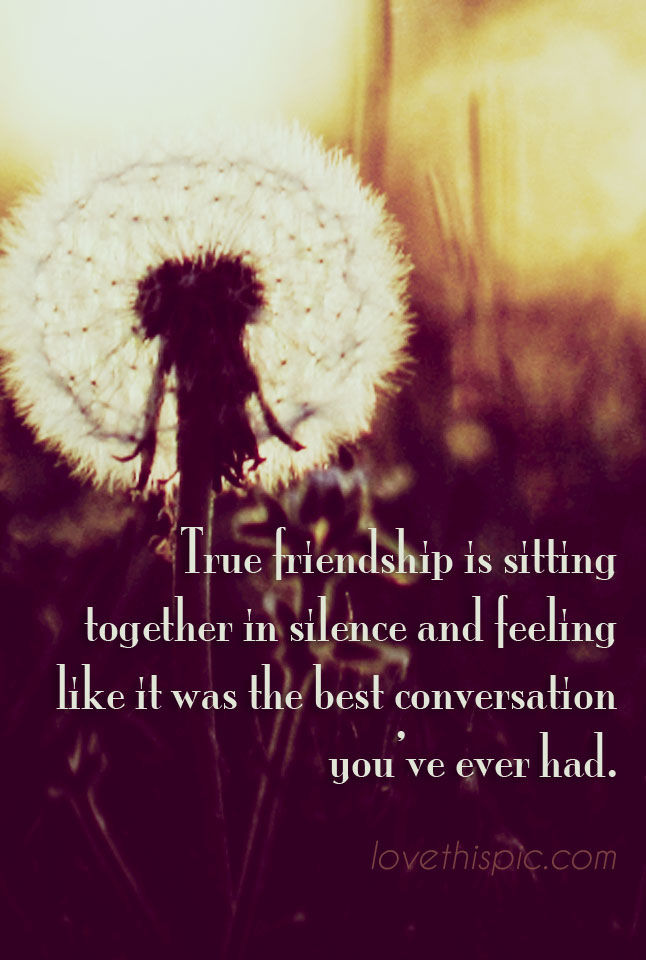 True Friendship True Friendship