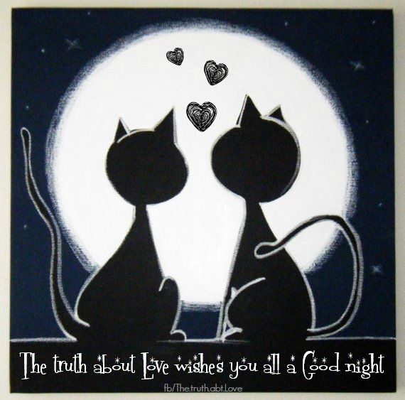 good night good night