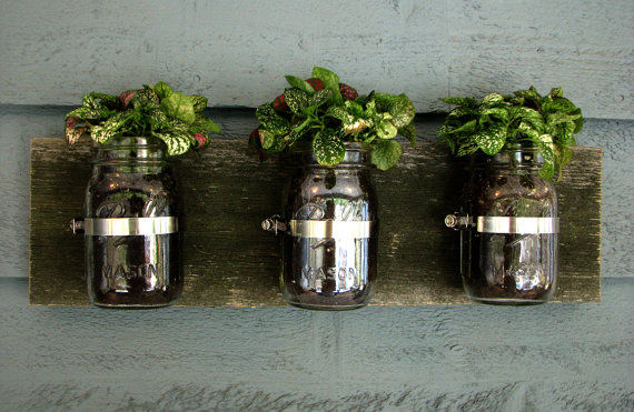 Mason Jar Plant Holder